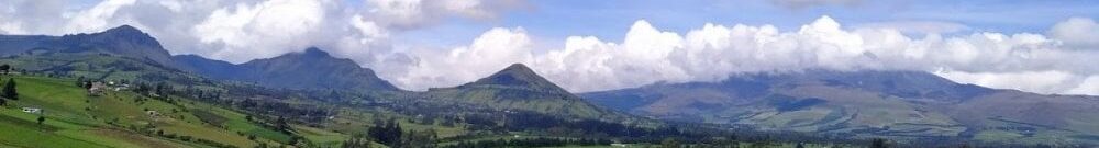 Ecuador Palo Santo Ecunatura