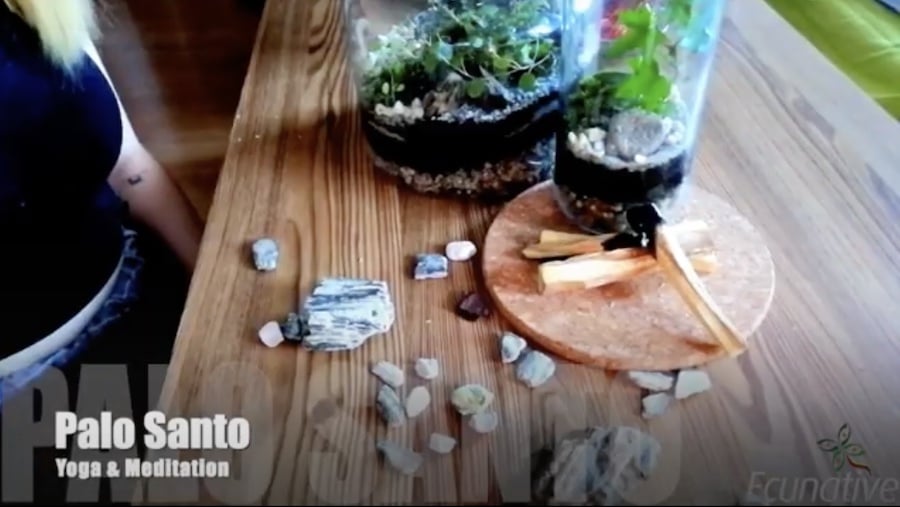 Vlog de meditación de Palo Santo Yoga