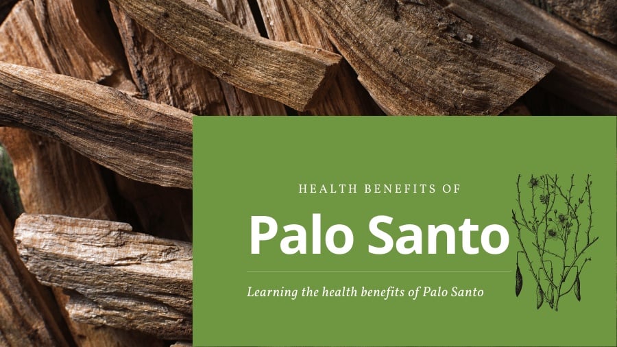 Palo Santo health benefits