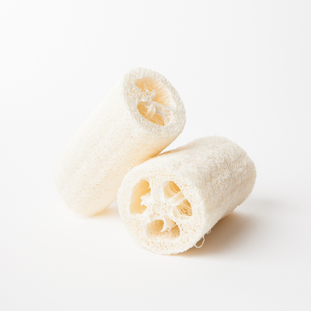 Why You Should Use a Luffa- Everything Explained